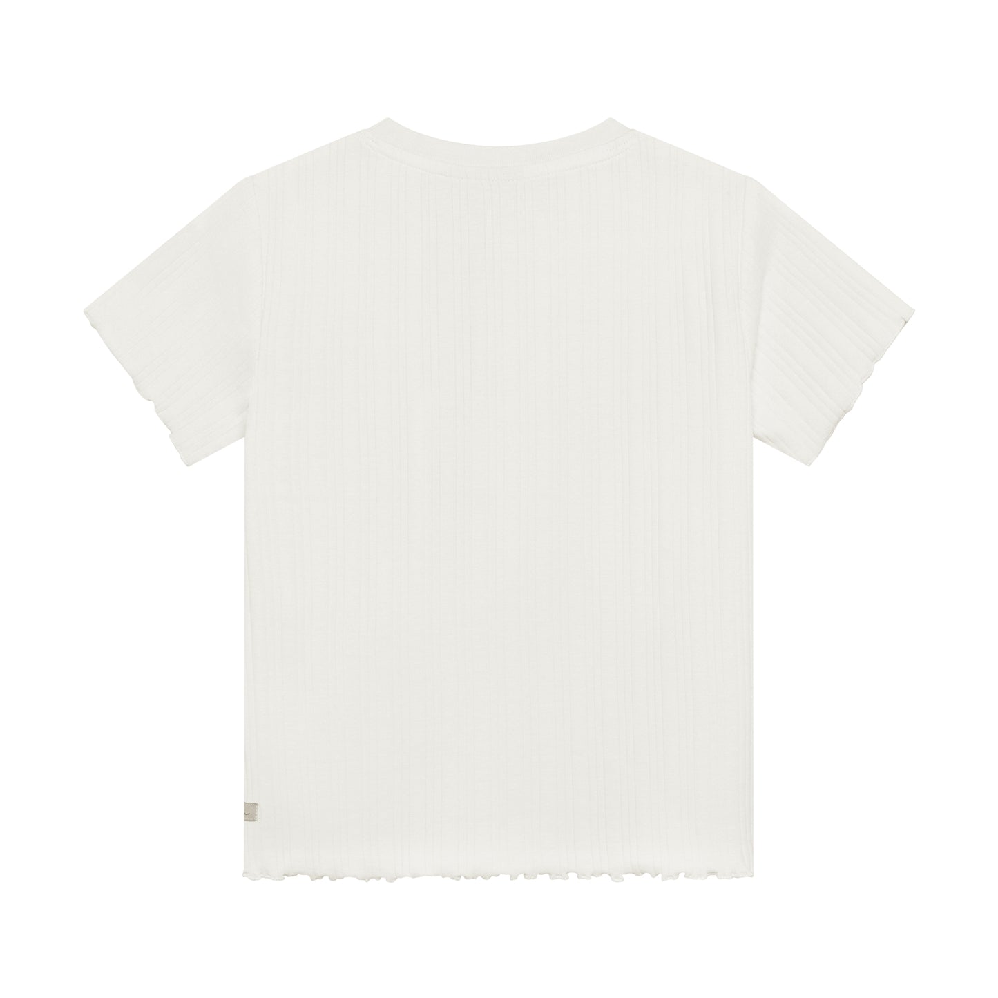 Daily7 T-shirt artwork