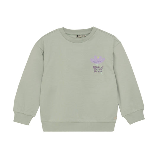 Daily7 sweater backprint