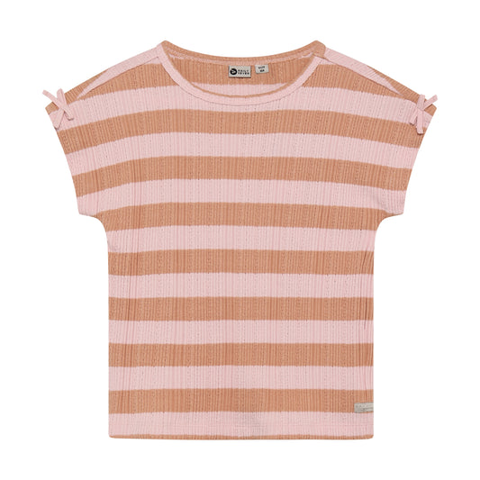 Daily7 zachte top